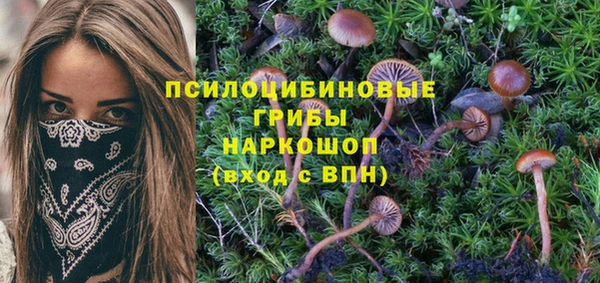 гашик Баксан